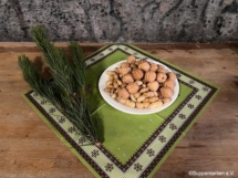 595703904_1155868916727377_6981488404360811626_n